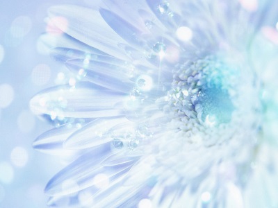 Flower-Art-Jewels-Core-1-1600x1200.jpg